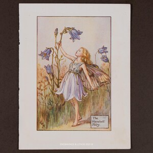 1940 The Harebell Fairy – 1940 Lithograph by Cicely Mary Barker