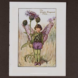 1940 The Greater Krapweed Fairy– 1940 Lithograph by Cicely Mary Barker