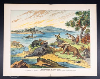 1886 Ideal Landscape of the Cretaceous Period in Europe - Antique original print - Paleontology and Geology - Very rare!