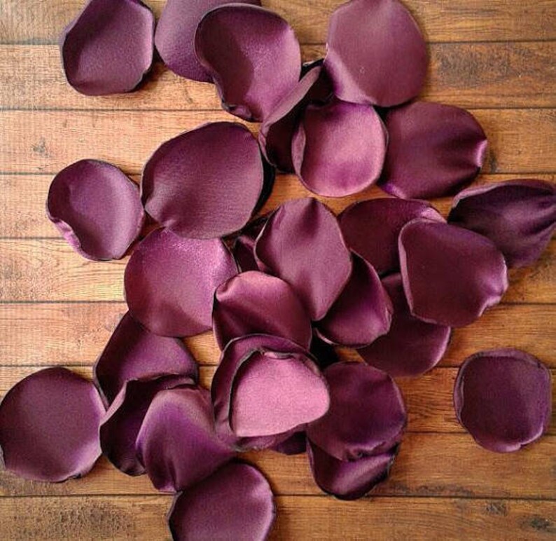 Eggplant Rose Petals Eggplant Wedding Decor Flower Petals Etsy