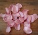 Dusty custom rose petals for wedding, wedding petals for flower girl petals baskets, flower petals, aisle runner decor supplies, petals toss
