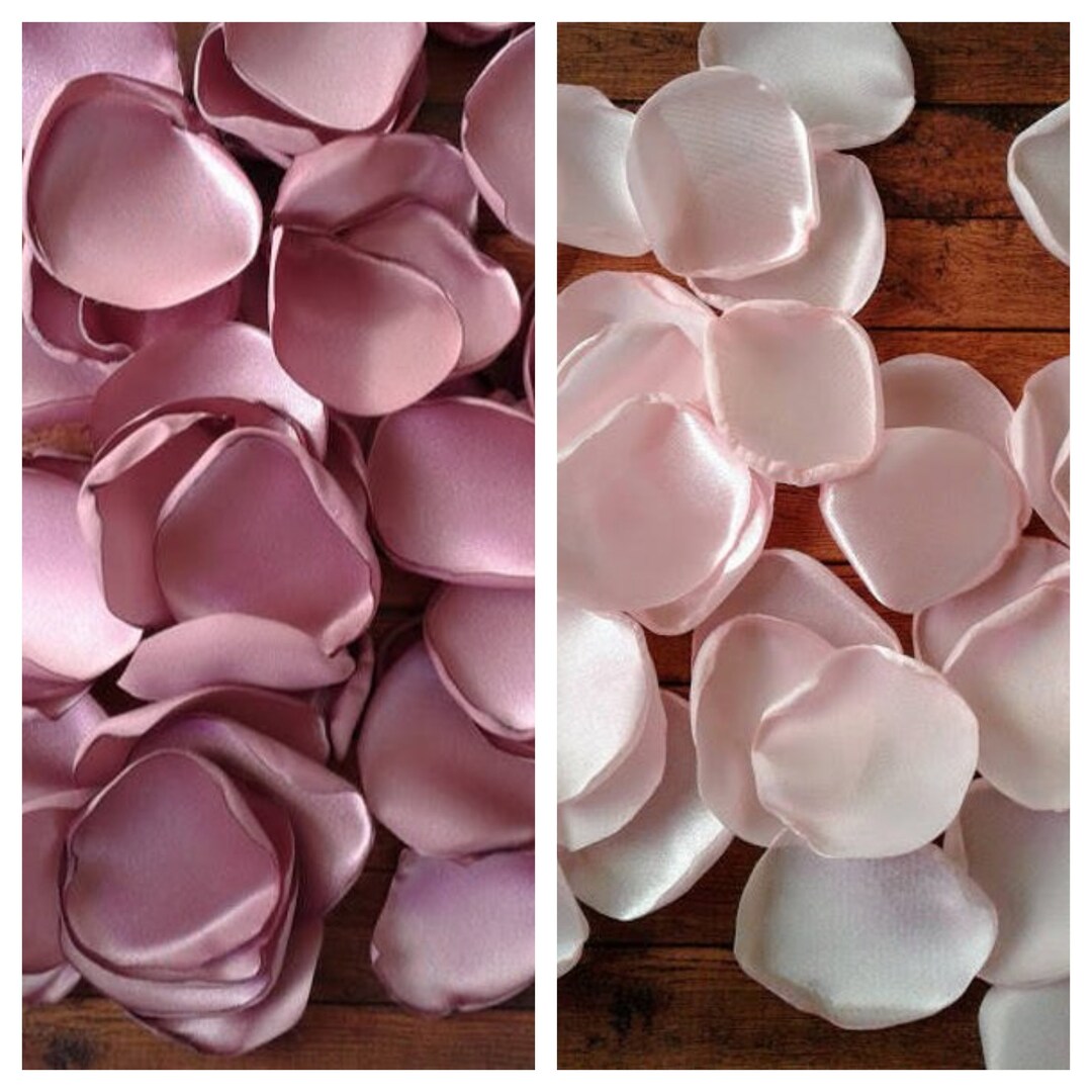 Mauve Rose Petals Blush Rose Petals Mauve and Blush Wedding Etsy