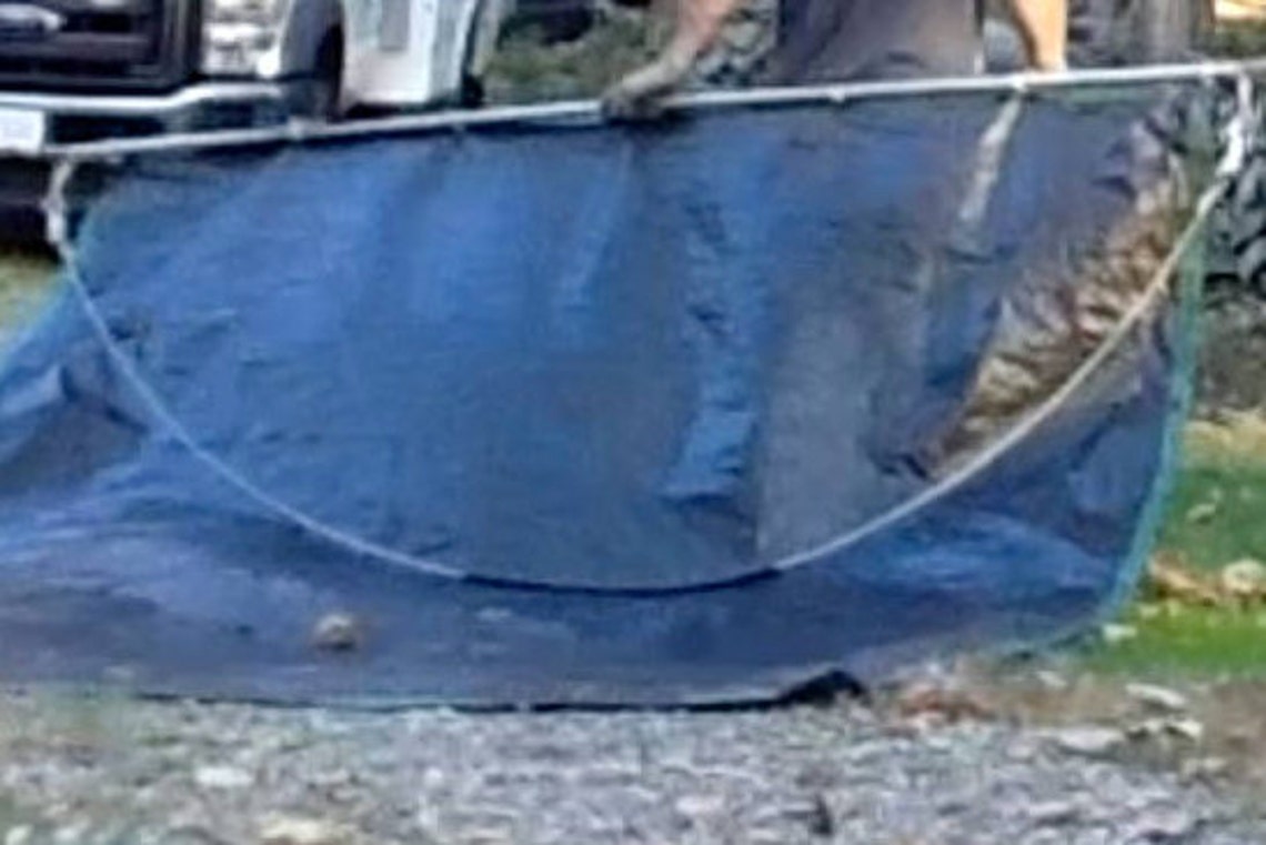 Want to Tarp and Move Leaves With EASE Timesaver Tarp Tool Etsy