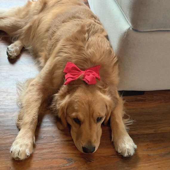 Red Polka Dots Girly Bow Collar Olivia Lemon Dog Collar Etsy