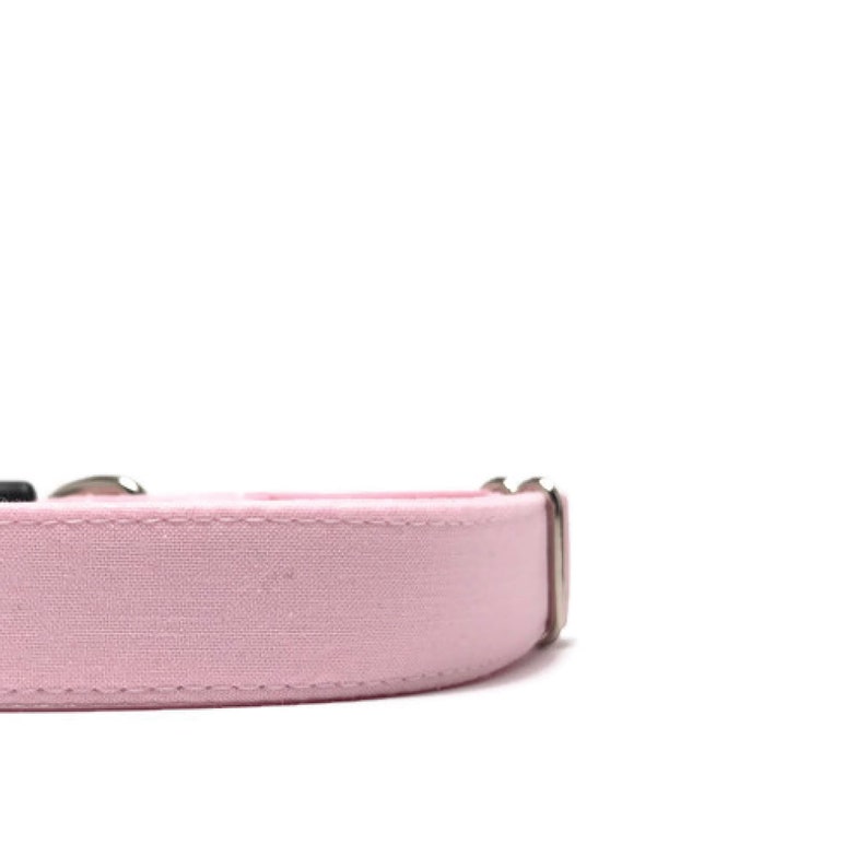 Pink Collection Solid Dog Collar Pink Dog Collar Martingale Dog Collar Olivia and Lemon Wedding Dog Collar Pink Solids in Blush