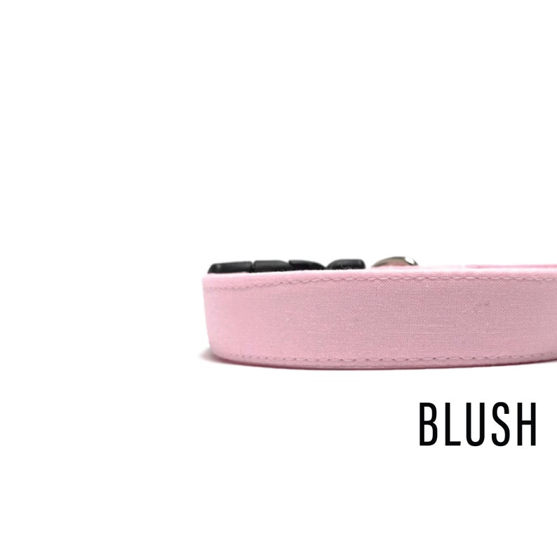 Pink Collection Solid Dog Collar Pink Dog Collar Martingale Dog Collar Olivia and Lemon Wedding Dog Collar Pink Solids in Blush