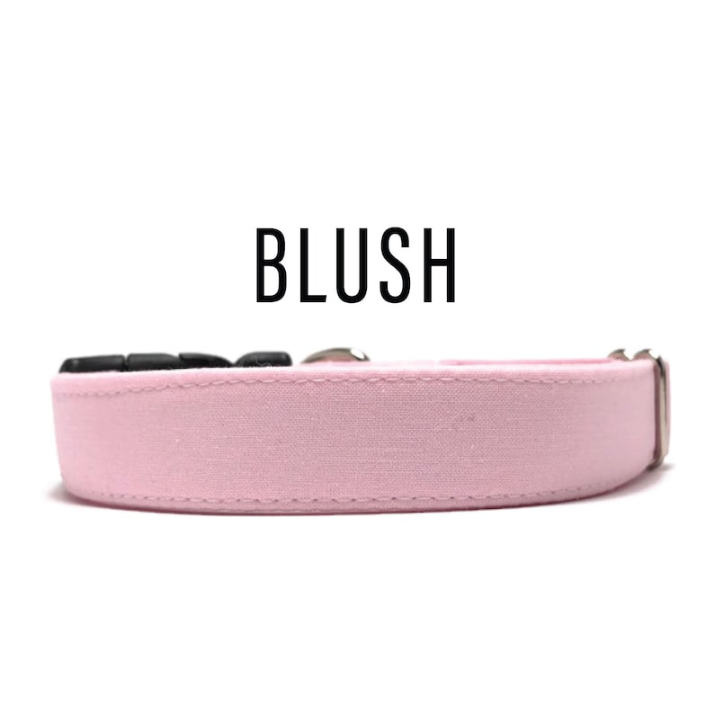 Pink Collection Solid Dog Collar Pink Dog Collar Martingale Dog Collar Olivia and Lemon Wedding Dog Collar Pink Solids in Blush