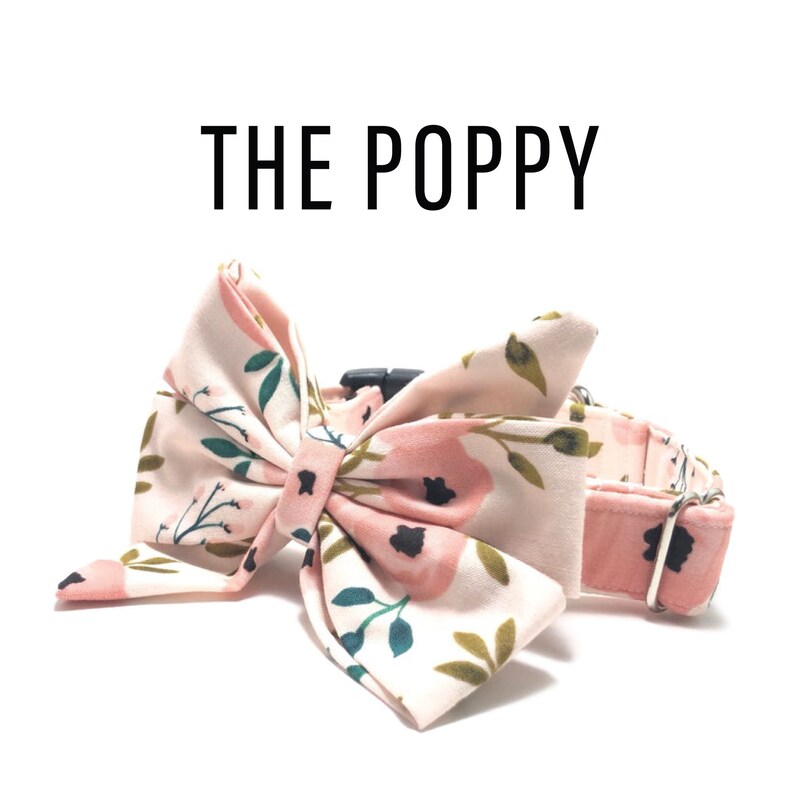 Girly Bow Dog Collar Floral Dog Collar Girly Dog Collar Etsy
