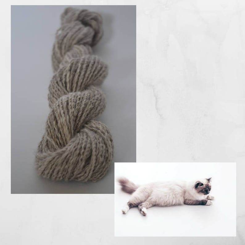 Chiengora Spinning Service Yarn made from your dog cat Etsy