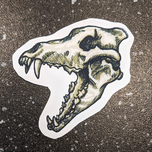 Coyote Skull Vinyl  Weatherproof Sticker