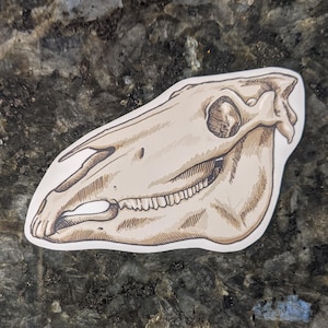 Horse Skull Laminated Vinyl Sticker Decal