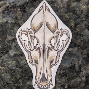 Cotoye Skull Top gelamineerd vinyl sticker sticker