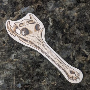 Gharial Skull Laminated Vinyl Sticker Decal