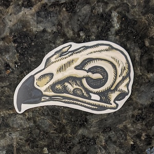 Hawk Skull Laminated Vinyl Sticker Decal