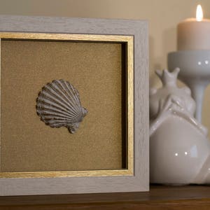 May include: A white frame with a gold trim surrounds a beige mat with a single seashell displayed in the center. The seashell is a light brown color with a white interior.