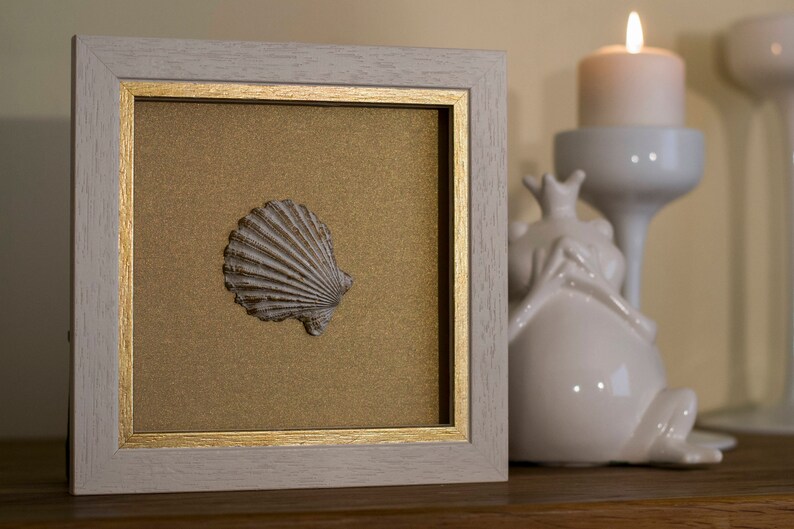 May include: A white frame with a gold trim surrounds a beige mat with a single seashell displayed in the center. The seashell is a light brown color with a white interior.