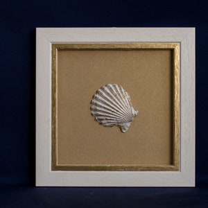 May include: A white seashell framed in a white frame with a gold inner border. The background is a light brown color.