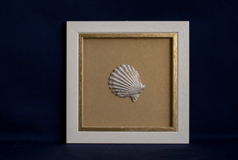 May include: A white seashell framed in a white frame with a gold inner border. The background is a light brown color.