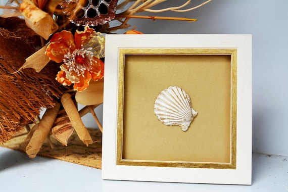 Sea gardens life ocean coral sink