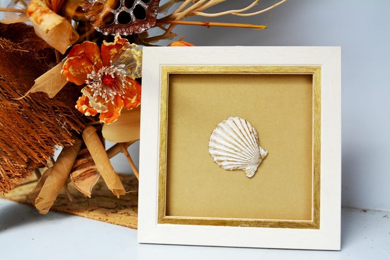 May include: A white seashell with a gold accent is displayed in a white frame with a gold inner border. The frame is sitting on a table with a brown surface.
