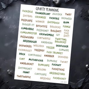 Swear Word Stickers, Profanity Stickers, Planner Stickers, Journal Stickers, Adult Stickers, Swearing Stickers, Sweary Stickers