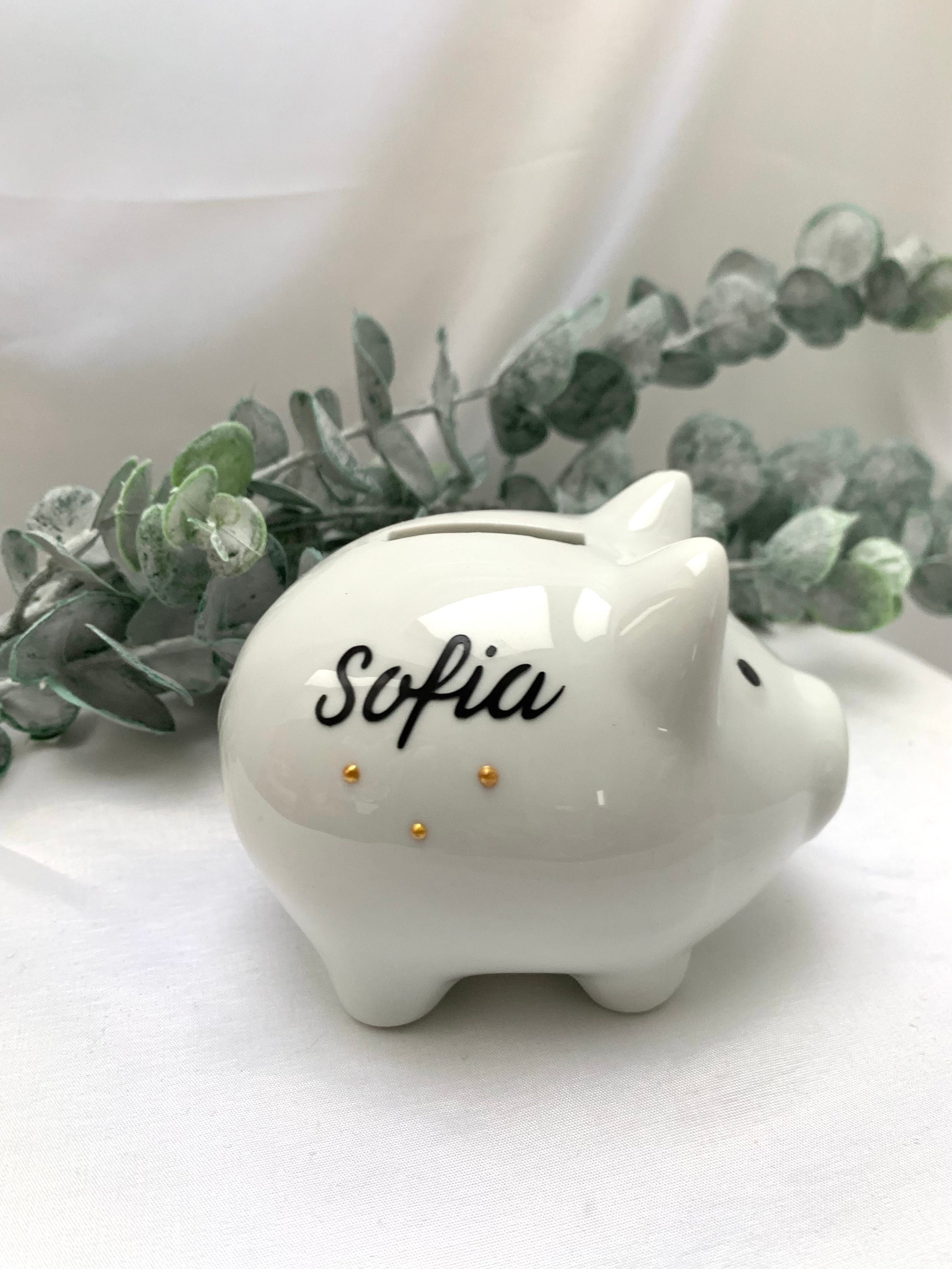 Winfun Sparschwein Für Babys – Interaktives Zug-Schwein Mit 10 Münzen, 30+ Sounds, Zweisprachig (Spanisch/Englisch) – Ab 6 Monaten Winfun Parenting System