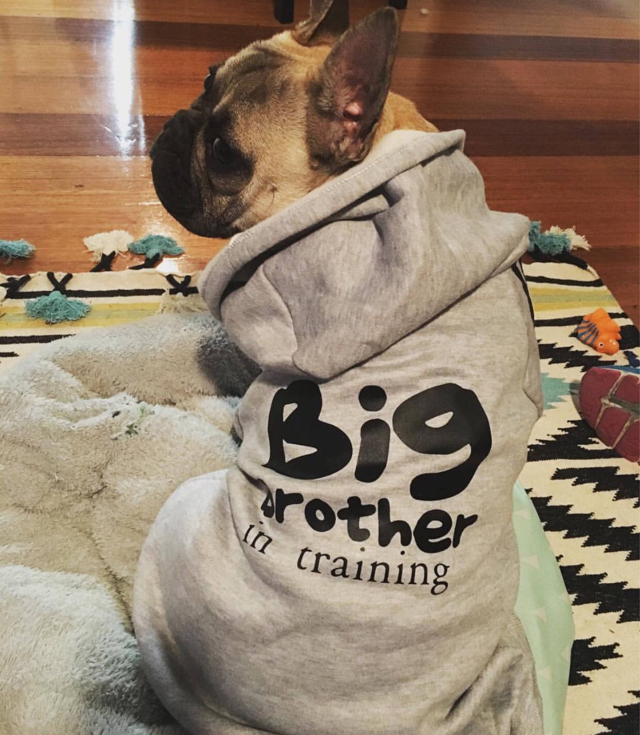 personalised dog jumper