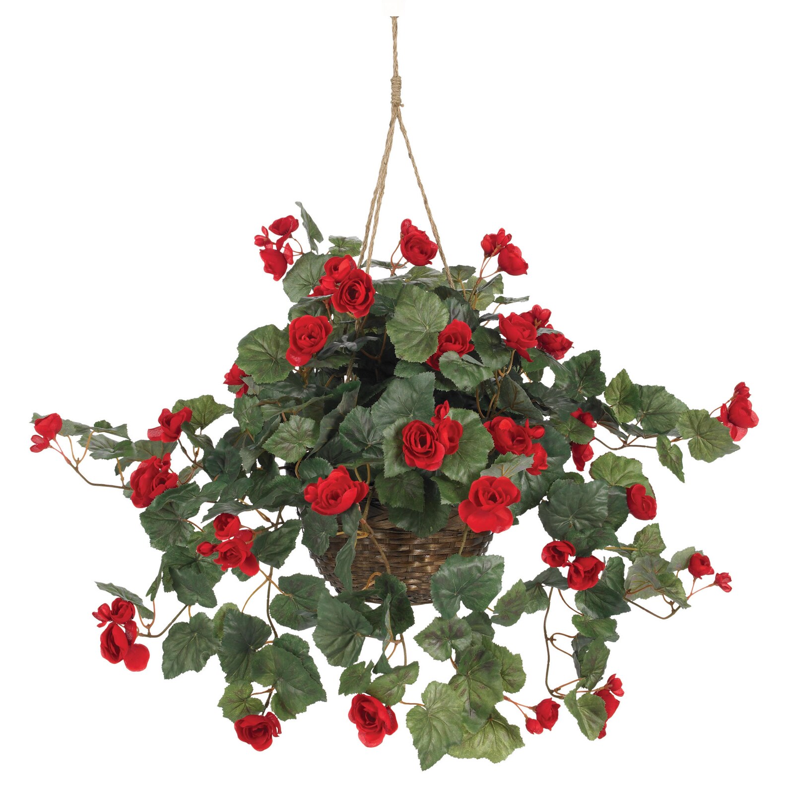 Begonia Hanging Basket - Etsy