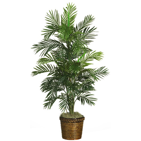 56" Areca Palm Silk Tree W/Basket