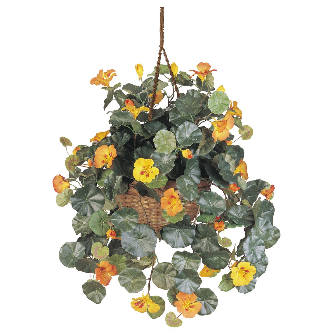 Nasturtium Silk Hanging Basket Etsy