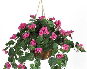 Bougainvillea Hanging Basket Silk Plant