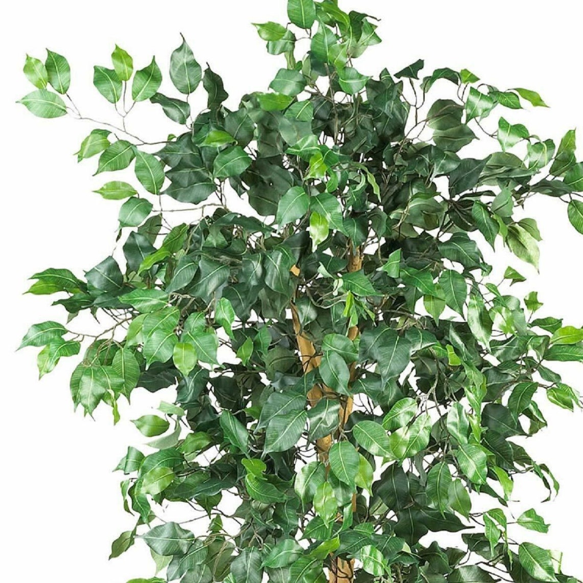 Ficus Silk Tree Artificial Trees Etsy
