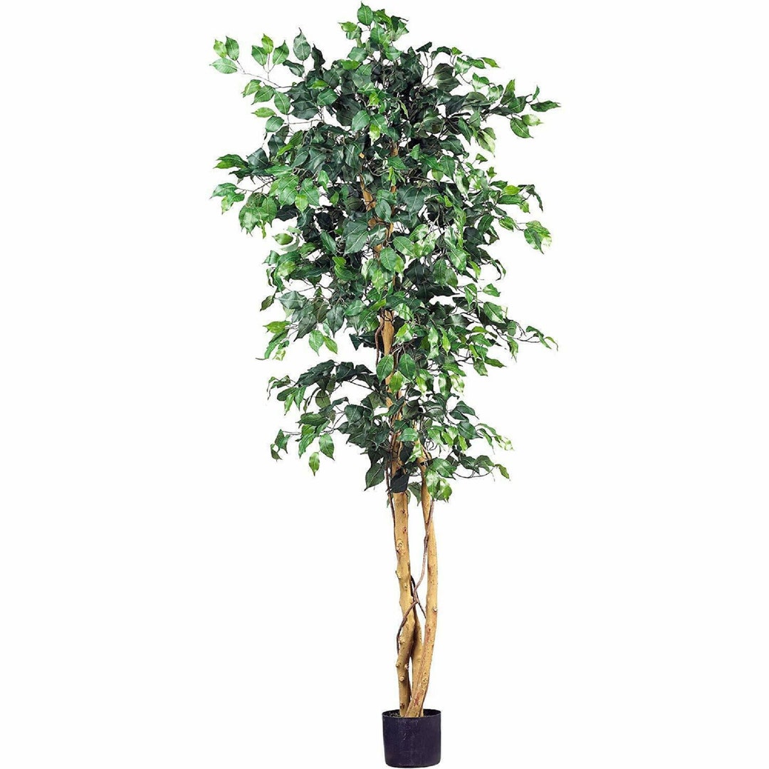 Ficus Silk Tree Artificial Trees Etsy