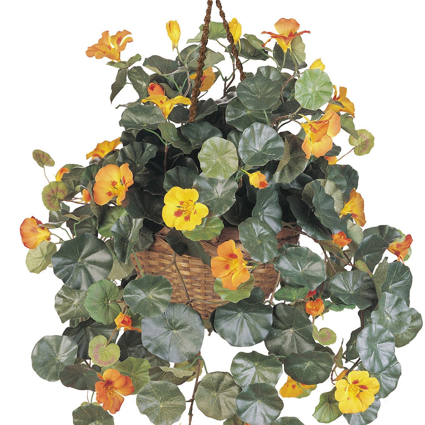 Nasturtium Silk Hanging Basket Etsy