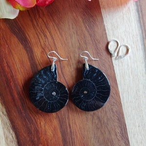 Chunky black ammonite earrings. Matching pair Fossil jewelry.  Sterling silver fossil earrings