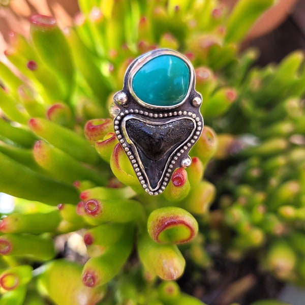 Silver shark tooth and turquoise gemstone ring. Sterling silver turquoise ring.  One of a kind custom ring.  3 to choose from