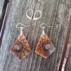 Unique fossil earrings. Sterling silver ammonite earrings.  Fossil jewelry. One of a kind