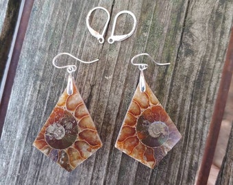 Unique fossil earrings. Sterling silver ammonite earrings.  Fossil jewelry. One of a kind