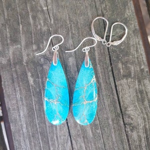 Sediment jasper earrings.  Sterling silver sediment jasper earrings.  Blue turquoise