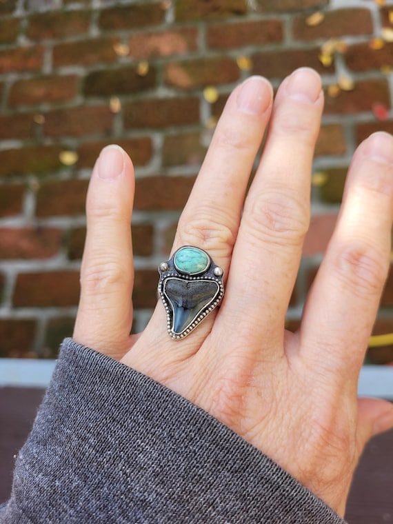 Sterling silver megalodon shark tooth and turquoise gemstone ring. Sterling silver turquoise ring.  One of a kind custom ring.