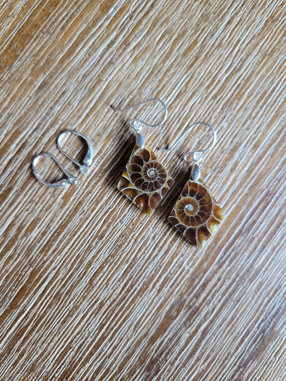 Unique diamond cut fossil earrings. Sterling silver ammonite earrings.  Fossil jewelry. One of a kind