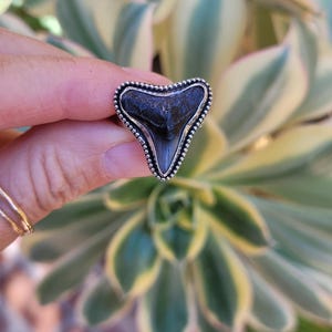 Op de afbeelding: Een zilveren ring met een zwarte gefossiliseerde haaientand in het midden. De tand is driehoekig met een gegolfde rand. De ring wordt aan een vinger gedragen.