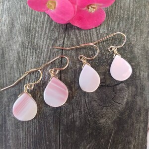 Pink conch shop shell earrings