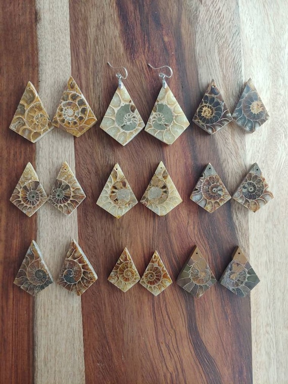 Unique diamond cut fossil earrings. Sterling silver ammonite earrings.  Fossil jewelry. One of a kind