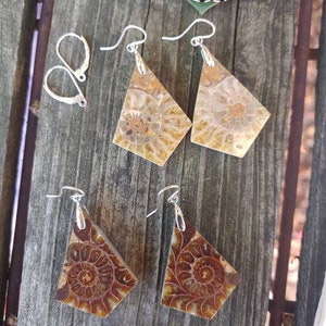 Unique fossil earrings. Sterling silver ammonite earrings.  Fossil jewelry. One of a kind