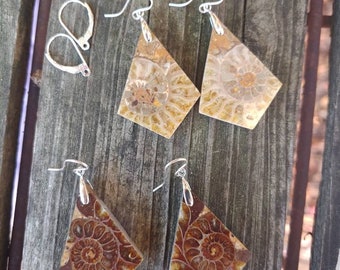 Unique fossil earrings. Sterling silver ammonite earrings.  Fossil jewelry. One of a kind