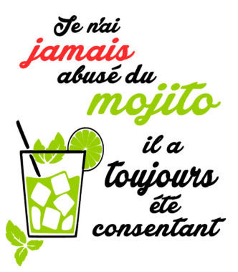Adult Humorous T Shirt I Never Abused Mojito It Was Etsy