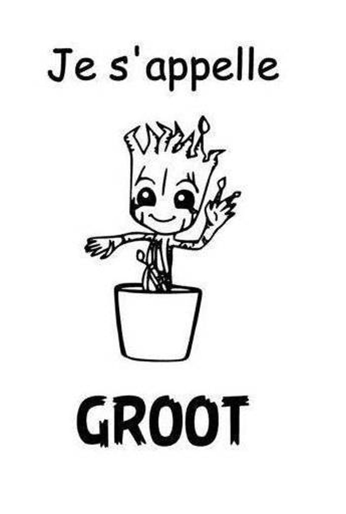Je S Appelle Groot Vo