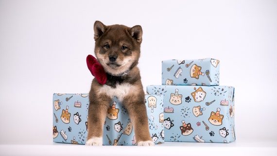 Shiba Inu Birthday Wrapping Paper 4 Sheets