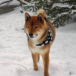 shiba inu handkerchief